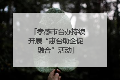 孝感市台办持续开展“惠台助企促融合”活动