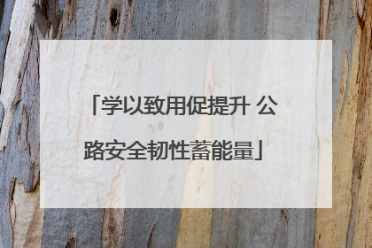 学以致用促提升 公路安全韧性蓄能量