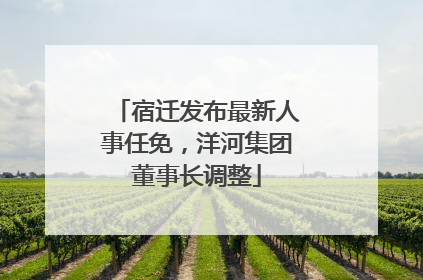 宿迁发布最新人事任免，洋河集团董事长调整