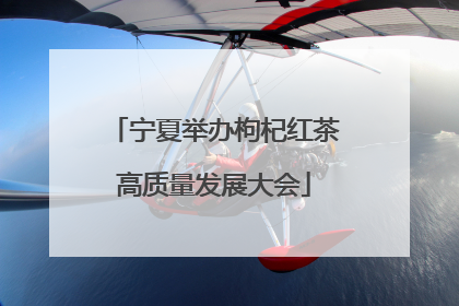 宁夏举办枸杞红茶高质量发展大会