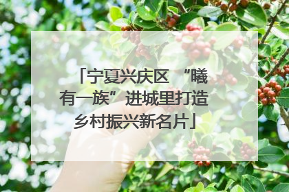 宁夏兴庆区 “曦有一族”进城里打造乡村振兴新名片