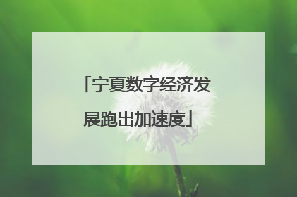 宁夏数字经济发展跑出加速度