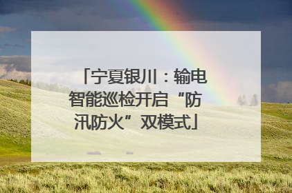 宁夏银川：输电智能巡检开启“防汛防火”双模式