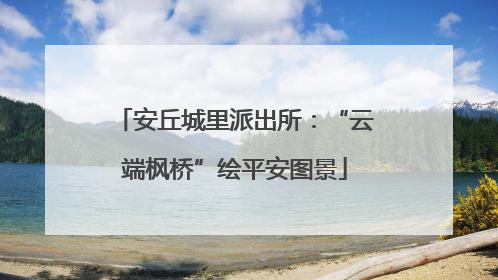 安丘城里派出所:“云端枫桥”绘平安图景