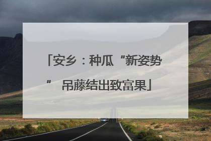 安乡：种瓜“新姿势” 吊藤结出致富果