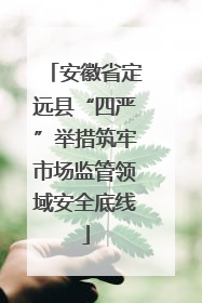 安徽省定远县“四严”举措筑牢市场监管领域安全底线