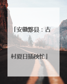 安徽黟县：古村夏日插秧忙