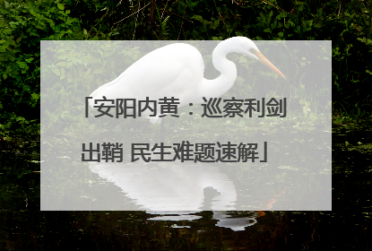安阳内黄：巡察利剑出鞘 民生难题速解
