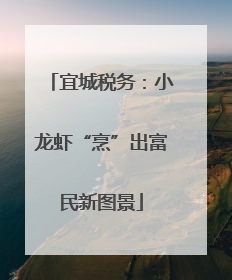 宜城税务：小龙虾“烹”出富民新图景