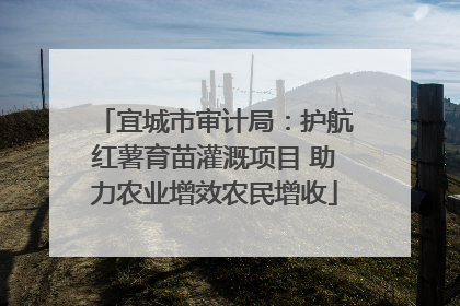 宜城市审计局：护航红薯育苗灌溉项目 助力农业增效农民增收