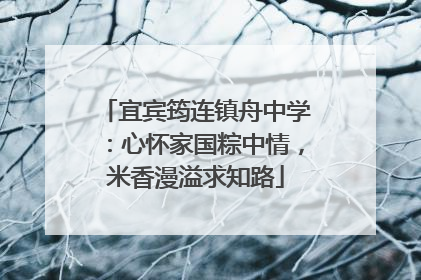 宜宾筠连镇舟中学：心怀家国粽中情，米香漫溢求知路