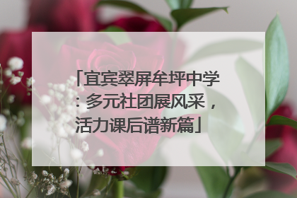 宜宾翠屏牟坪中学：多元社团展风采，活力课后谱新篇