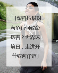 塑料垃圾对海龟有何致命伤害？世界环境日，走进开普敦海洋馆