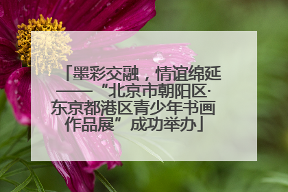 墨彩交融，情谊绵延——“北京市朝阳区·东京都港区青少年书画作品展”成功举办