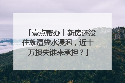 壹点帮办丨新房还没住就遭粪水浸泡，近十万损失谁来承担？