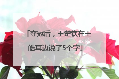 夺冠后，王楚钦在王皓耳边说了5个字