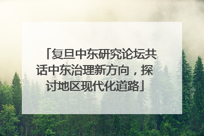 复旦中东研究论坛共话中东治理新方向，探讨地区现代化道路