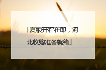 夏粮开秤在即，河北收购准备就绪
