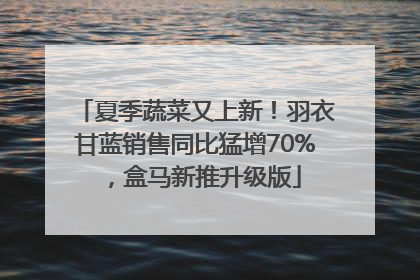 夏季蔬菜又上新！羽衣甘蓝销售同比猛增70%，盒马新推升级版