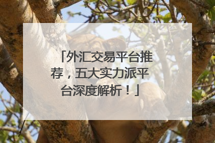 外汇交易平台推荐，五大实力派平台深度解析！
