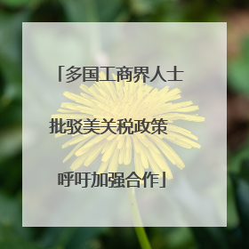 多国工商界人士批驳美关税政策 呼吁加强合作