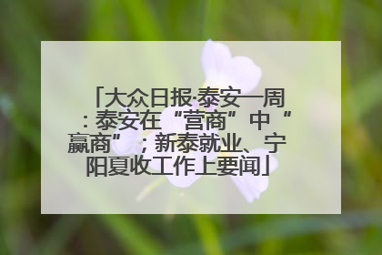 大众日报·泰安一周：泰安在“营商”中“赢商”；新泰就业、宁阳夏收工作上要闻