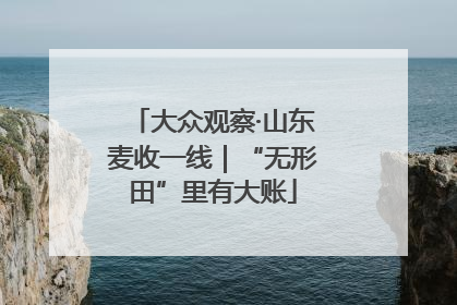 大众观察·山东麦收一线｜“无形田”里有大账