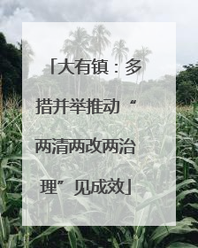 大有镇：多措并举推动“两清两改两治理”见成效