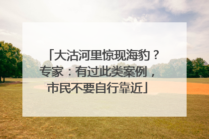 大沽河里惊现海豹？专家：有过此类案例，市民不要自行靠近