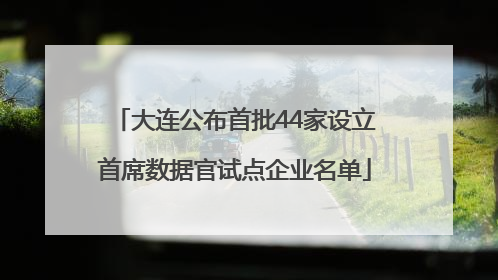 大连公布首批44家设立首席数据官试点企业名单