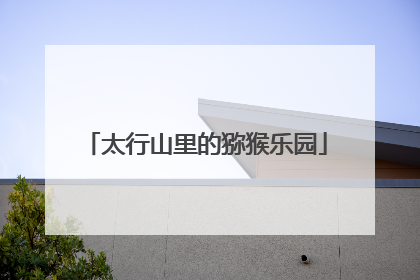 太行山里的猕猴乐园