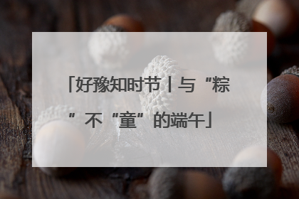 好豫知时节丨与“粽”不“童”的端午