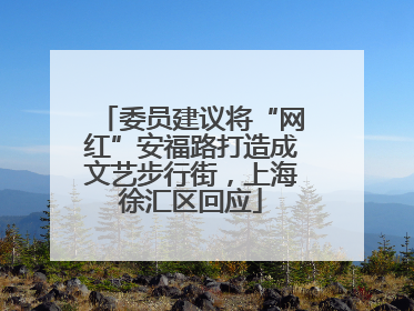委员建议将“网红”安福路打造成文艺步行街，上海徐汇区回应