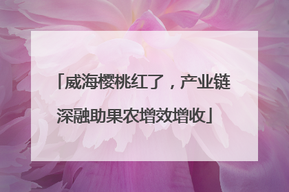 威海樱桃红了，产业链深融助果农增效增收