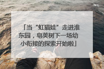 当“虹猫娃”走进淮东园，皂荚树下一场幼小衔接的探索开始啦