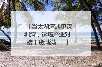 当太湖湾遇见深圳湾，这场产业对接干货满满……