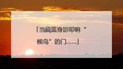 当藏蓝身影叩响“候鸟”的门……