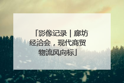 影像记录｜廊坊经洽会，现代商贸物流风向标