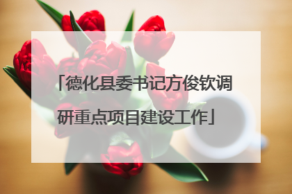 德化县委书记方俊钦调研重点项目建设工作