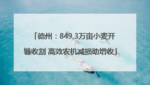 德州：849.3万亩小麦开镰收割 高效农机减损助增收