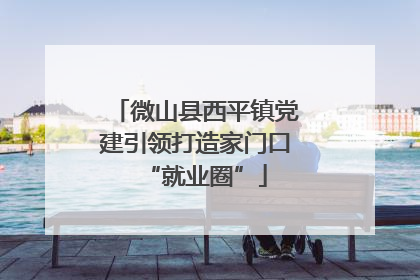 微山县西平镇党建引领打造家门口“就业圈”