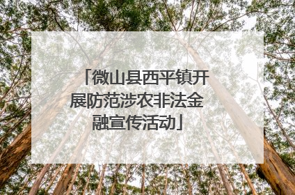 微山县西平镇开展防范涉农非法金融宣传活动