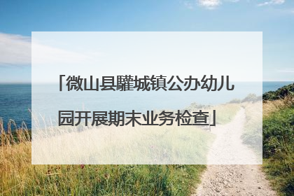 微山县驩城镇公办幼儿园开展期末业务检查