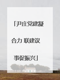尹庄党建凝合力 联建议事促振兴