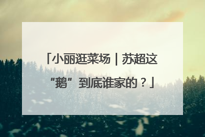 小丽逛菜场｜苏超这“鹅”到底谁家的？