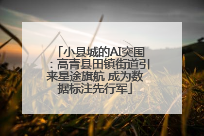 小县城的AI突围：高青县田镇街道引来星途旗航 成为数据标注先行军