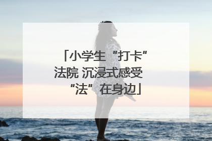 小学生“打卡”法院 沉浸式感受“法”在身边