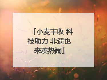 小麦丰收 科技助力 非遗也来凑热闹