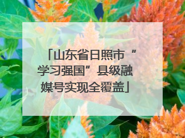 山东省日照市“学习强国”县级融媒号实现全覆盖