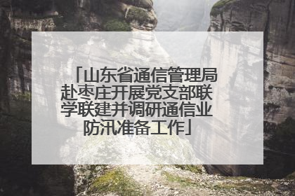 山东省通信管理局赴枣庄开展党支部联学联建并调研通信业防汛准备工作
